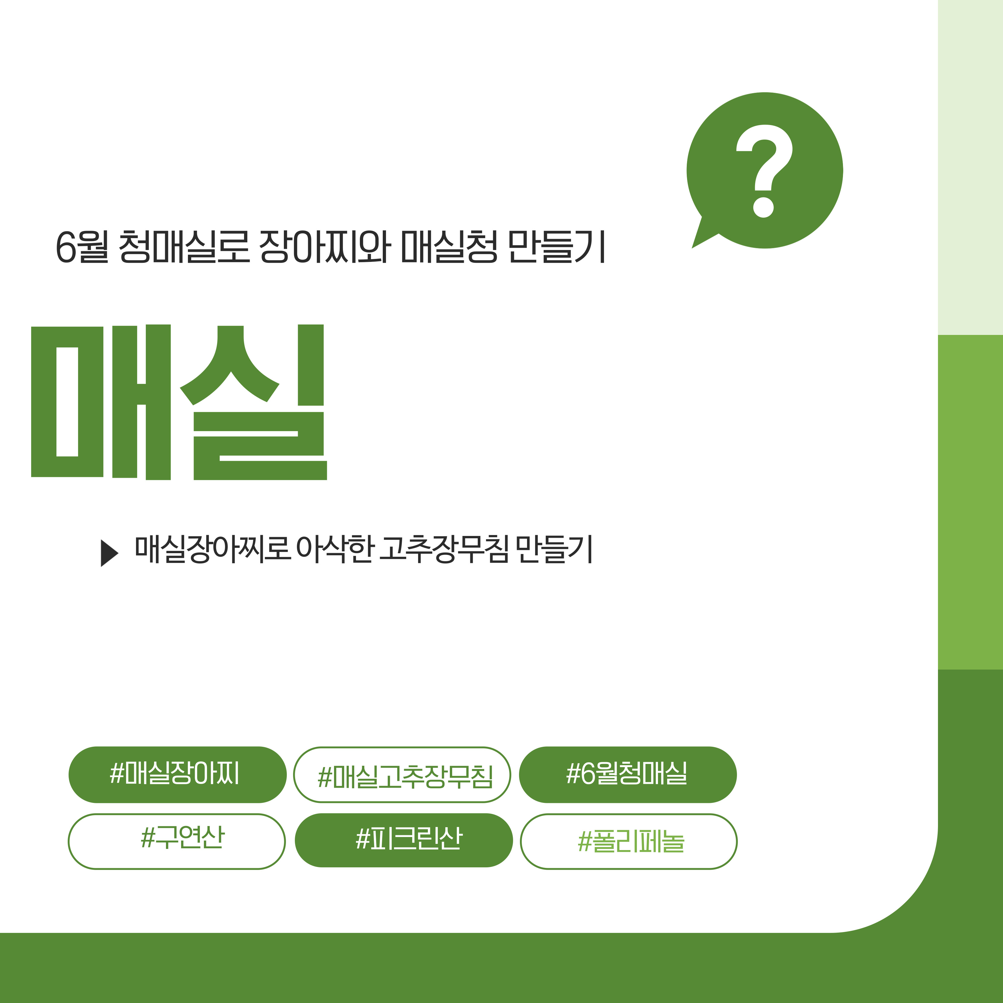 매실, 매실장아찌 고추장무침 만들기