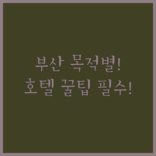 부산 여행 목적별 호텔 선택 가이드 ..