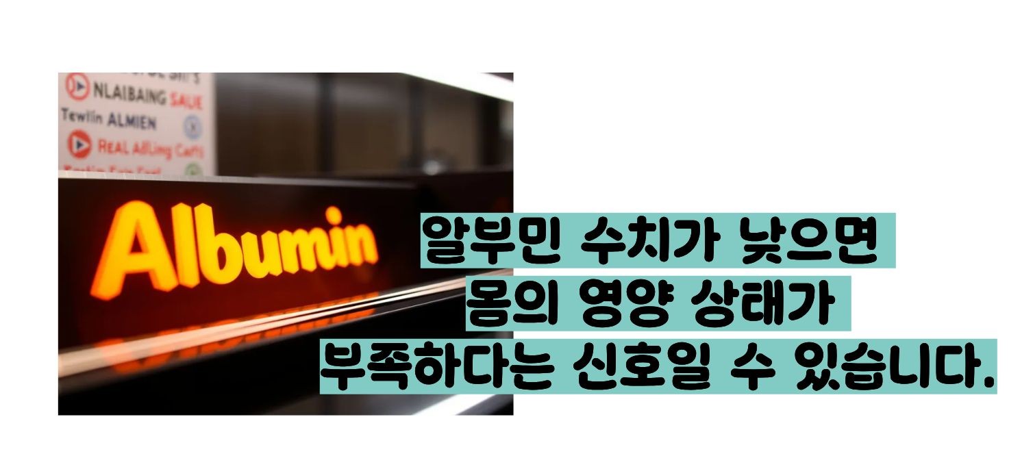 알부민 수치 낮으면