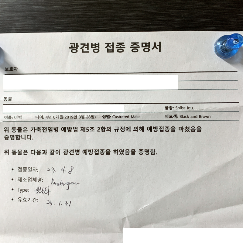 필수_예방접종_증명서_광견병