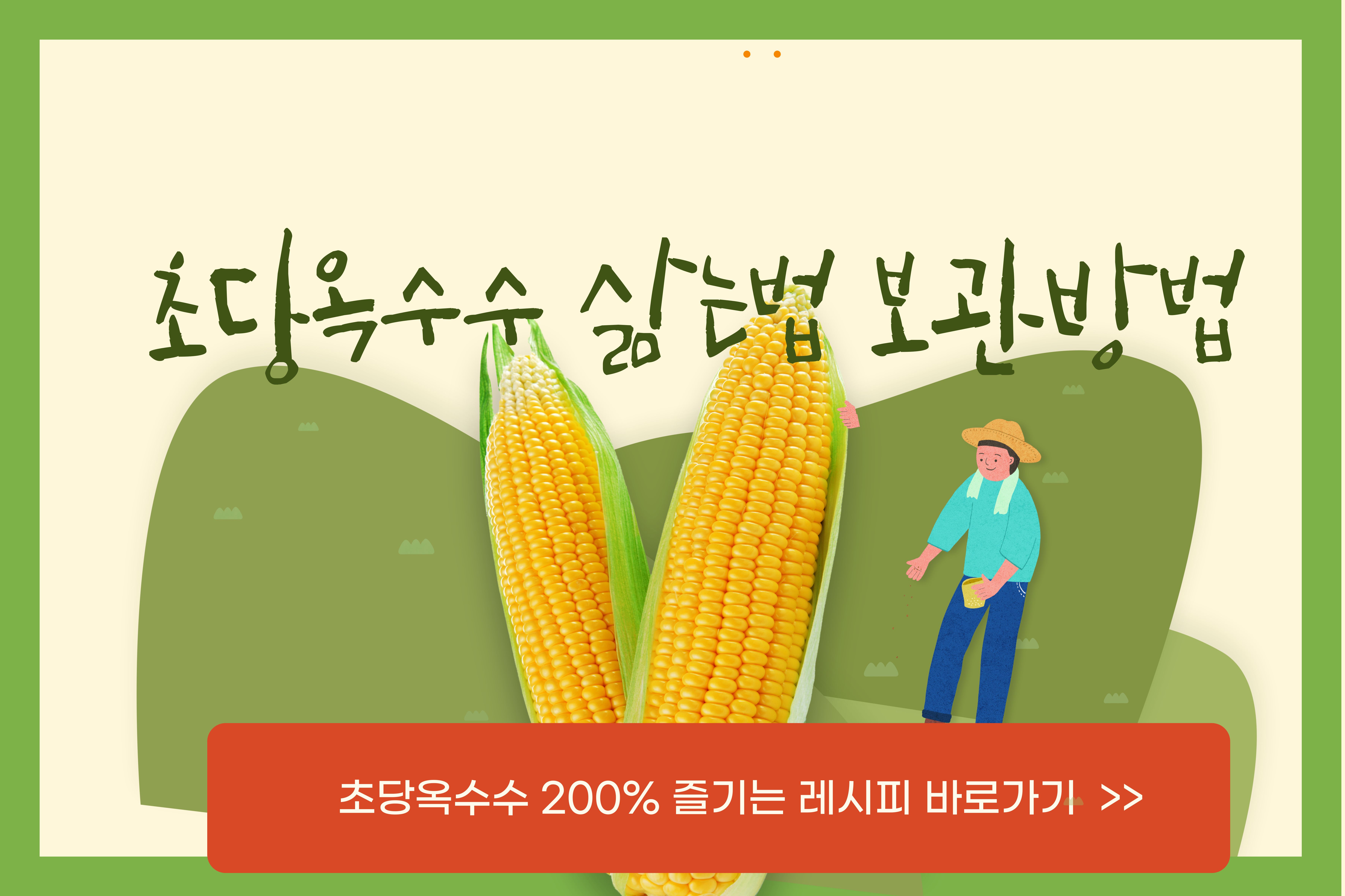 초당옥수수삶는법보관방법