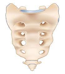 꼬리뼈가 아픈 이유