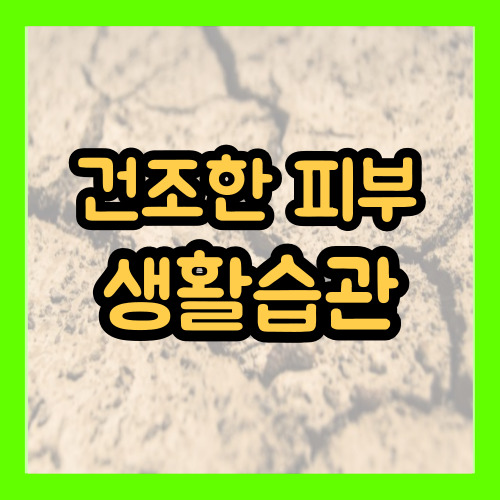 건조한피부
