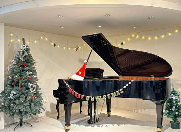 작은별 바이올린&피아노 음악학원