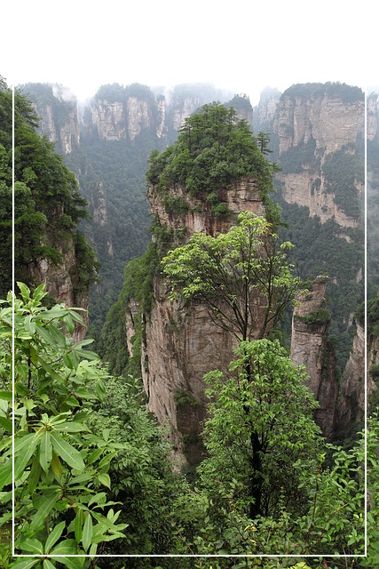 장가계 자유여행