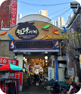 생방송 투데이 환승직업 치킨 경기 고양 맛집
