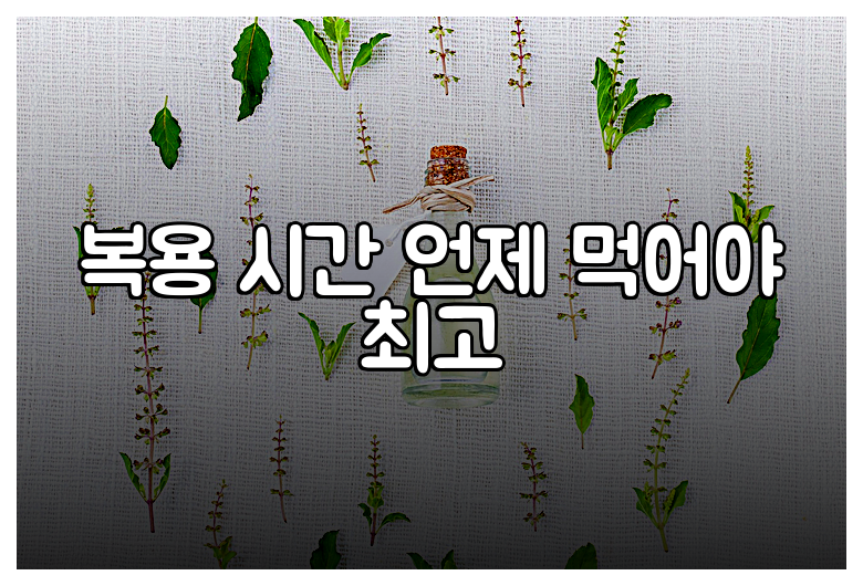 복용 시간 언제 먹어야 최고