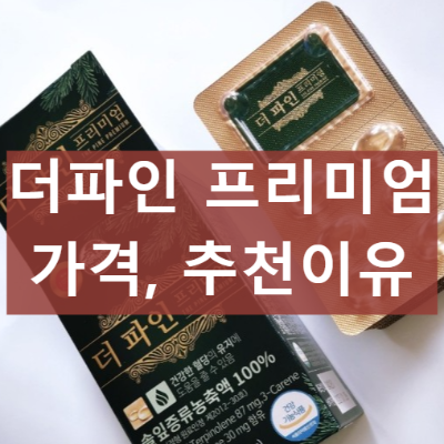 더파인 프리미엄