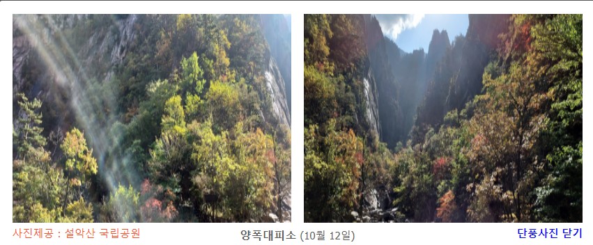 양폭대피소