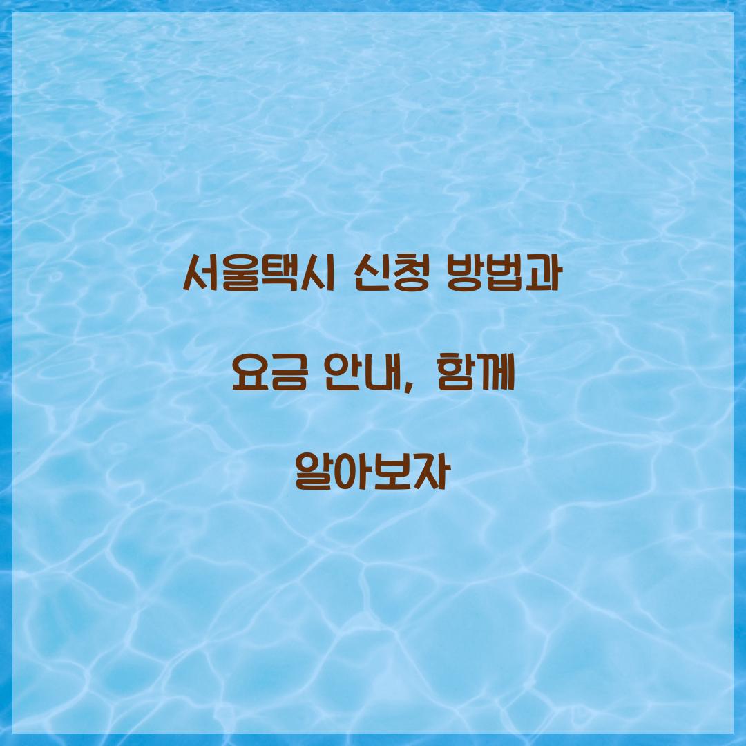 서울택시 신청