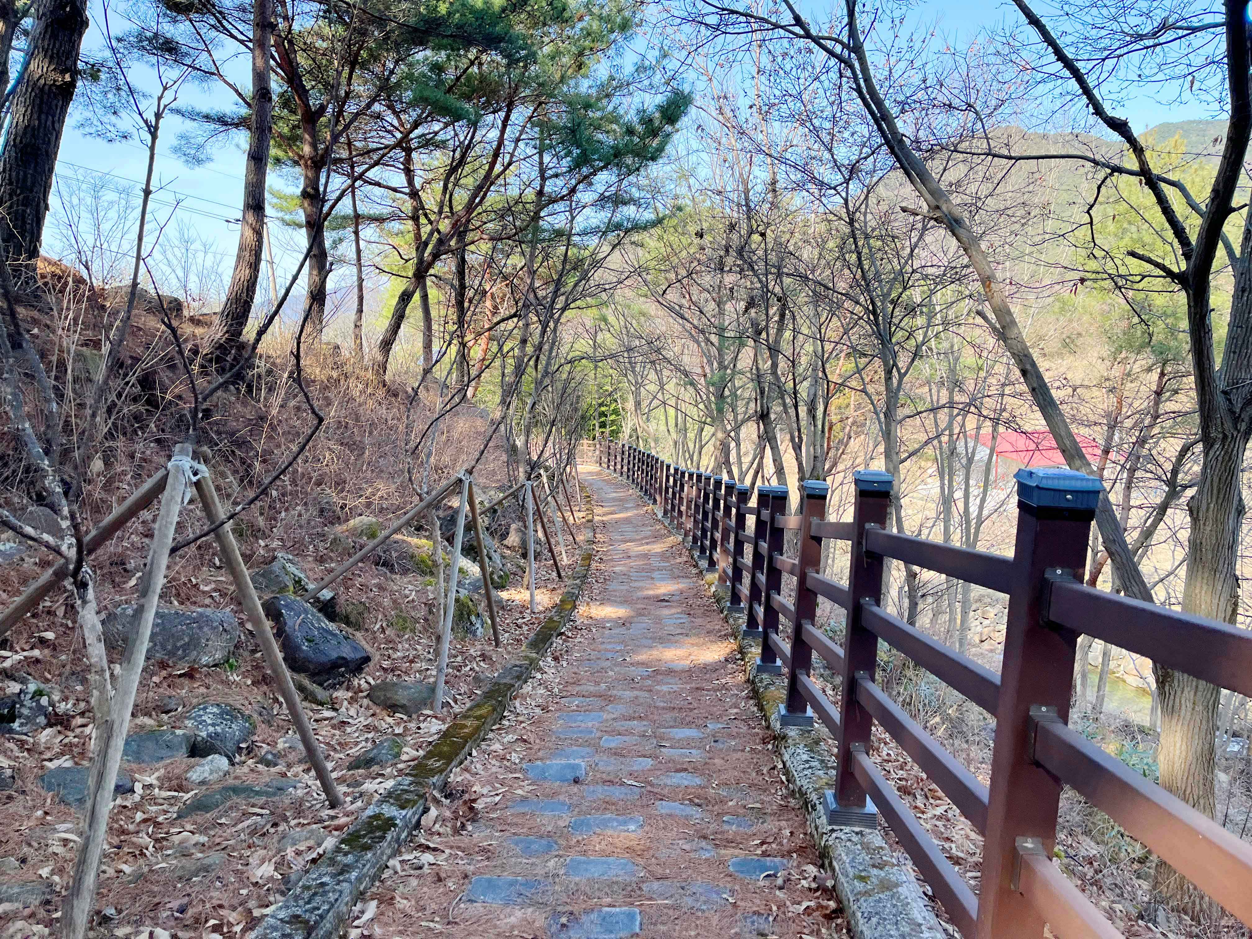 구례 산수유마을