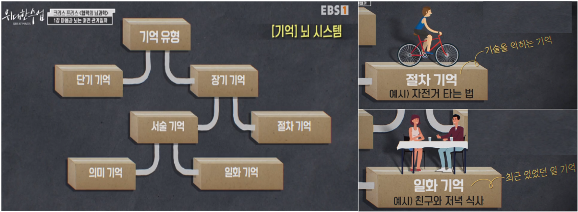 &quot;alt&quot;:&quot;기억 뇌 시스템&quot;