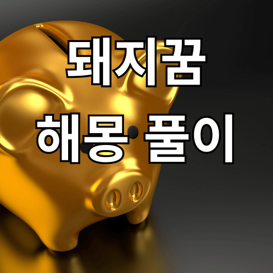 돼지꿈해몽 풀이