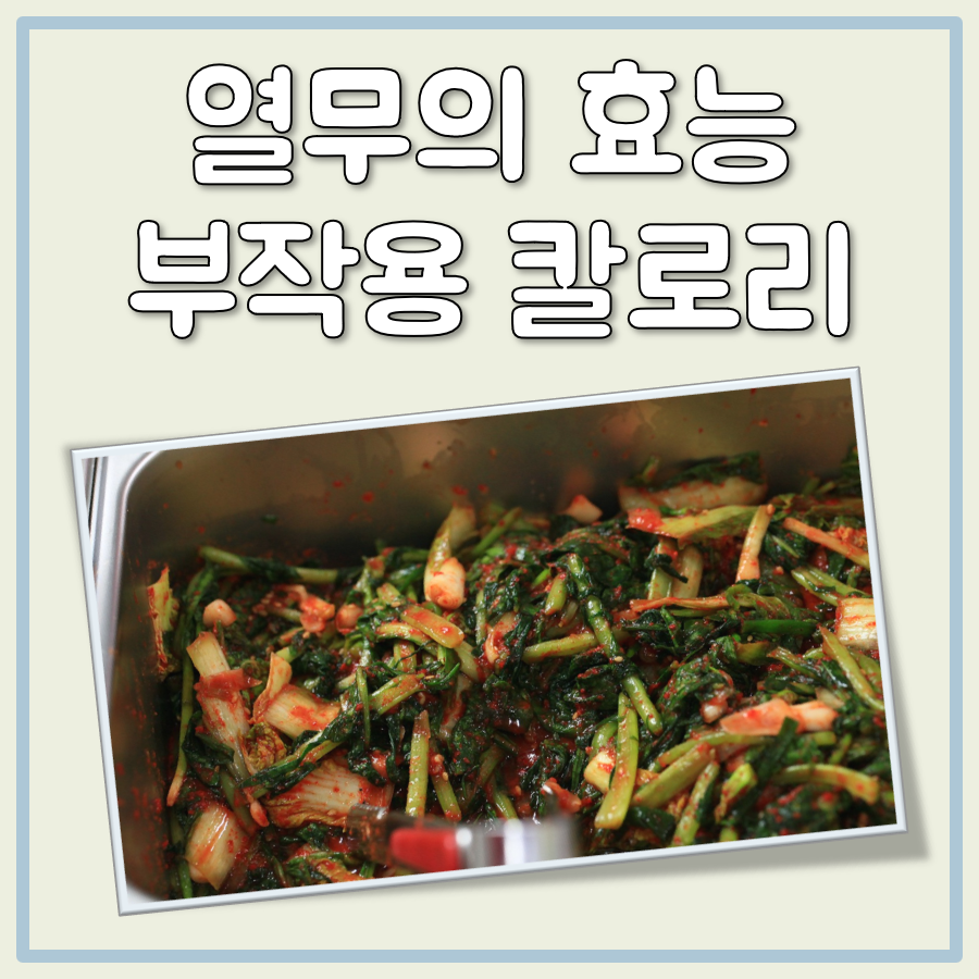 열무의 효능 부작용 칼로리 대표 이미지