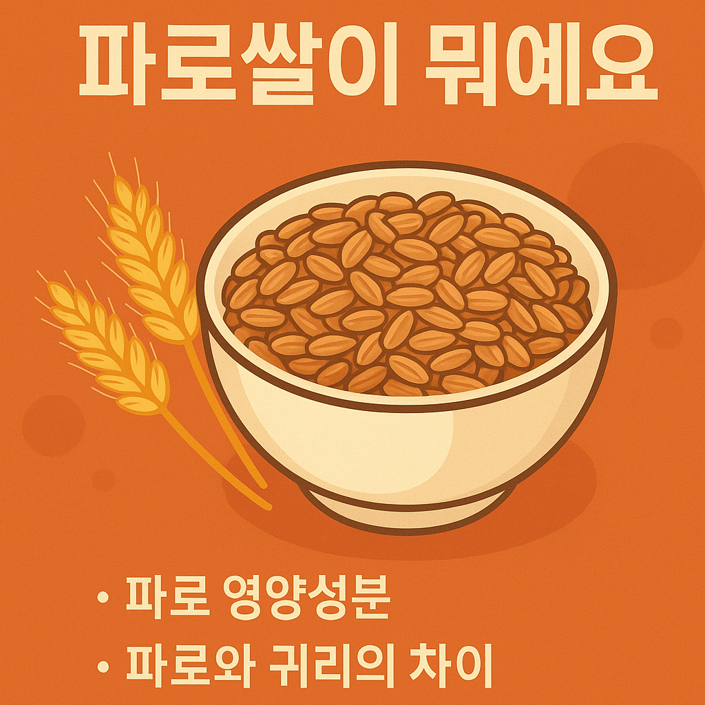 파로쌀이미지