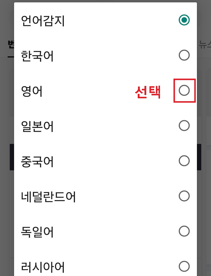 영어 선택함