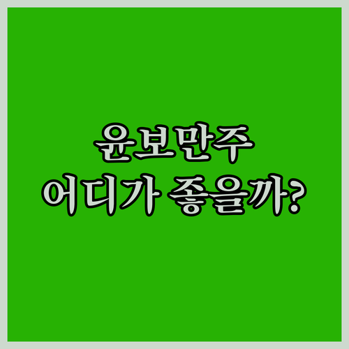 푸양 윤보 만주 호텔 완전 분석! 서..