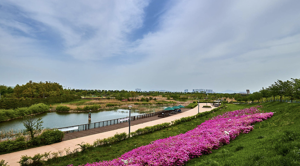 김포한강 야생조류생태공원 이미지