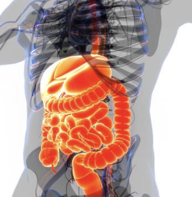 십이지장 궤양 증상 23