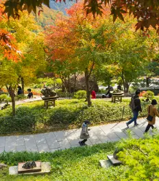 화담숲 예약
