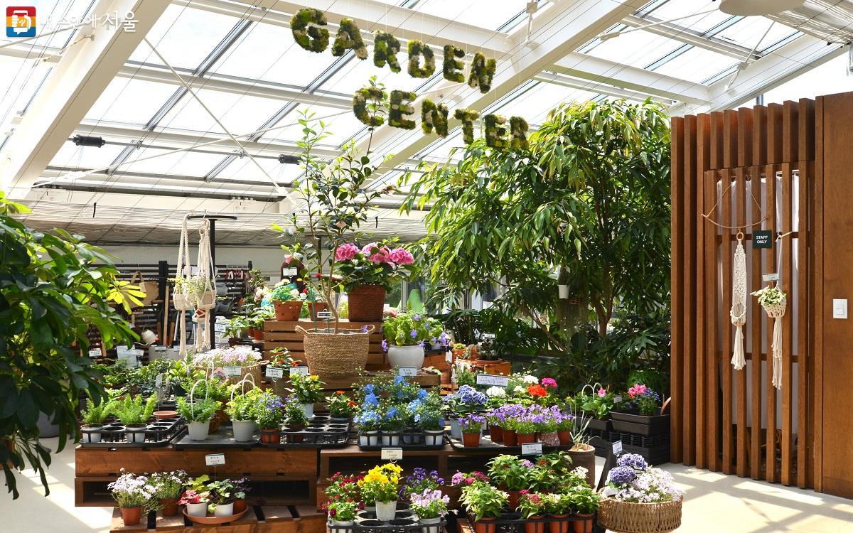 서울-불암산-철쭉제