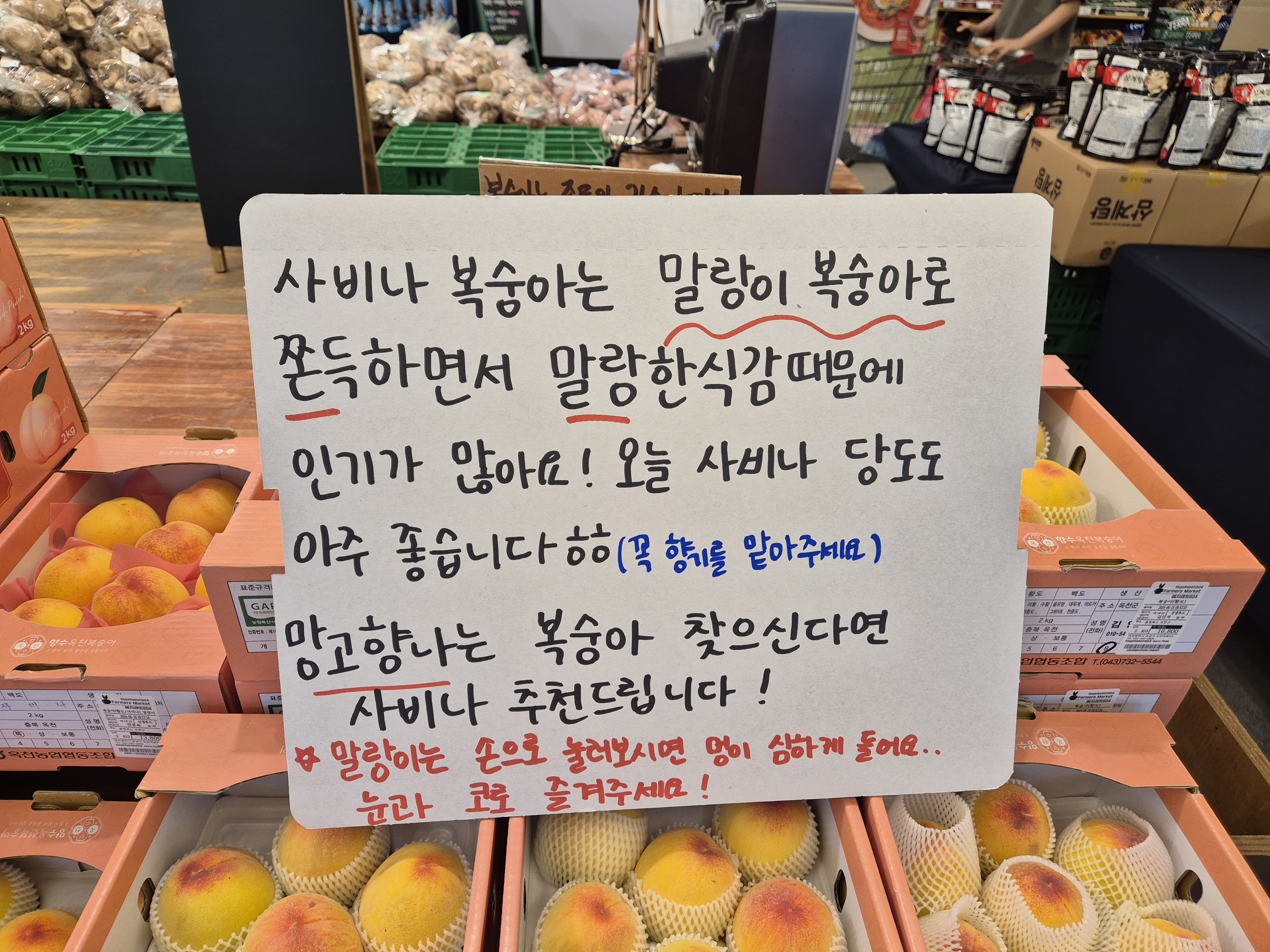 사비나 복숭아 품종 설명