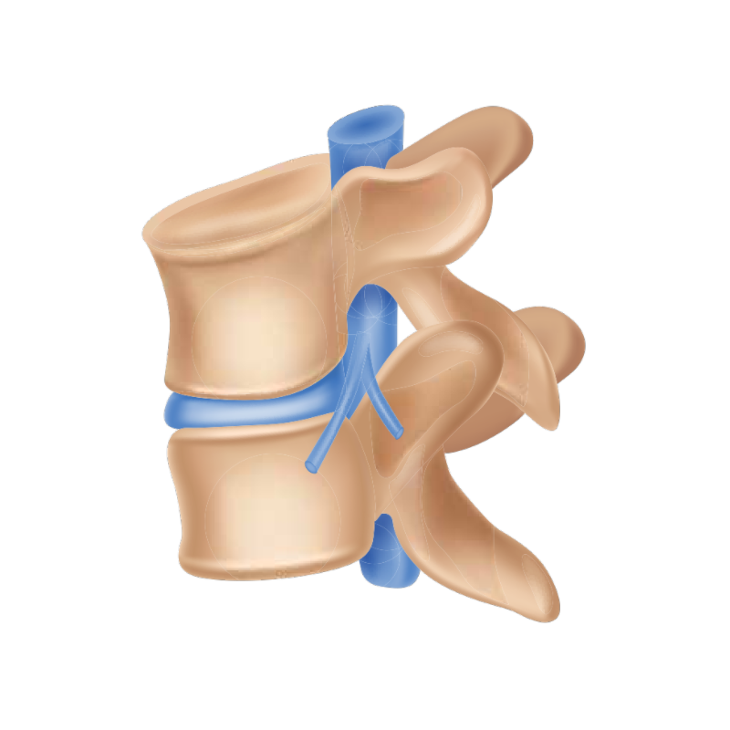 허리 협착증 증상 원인 치료법은?