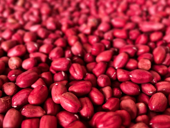 매일 땅콩 한 줌: 동안을 위한 식단 가이드