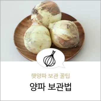 양파 보관법 신선함을 오래 유지하는 건강한 저장 방법까지_13