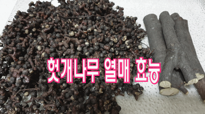 헛개열매 효능 3가지
