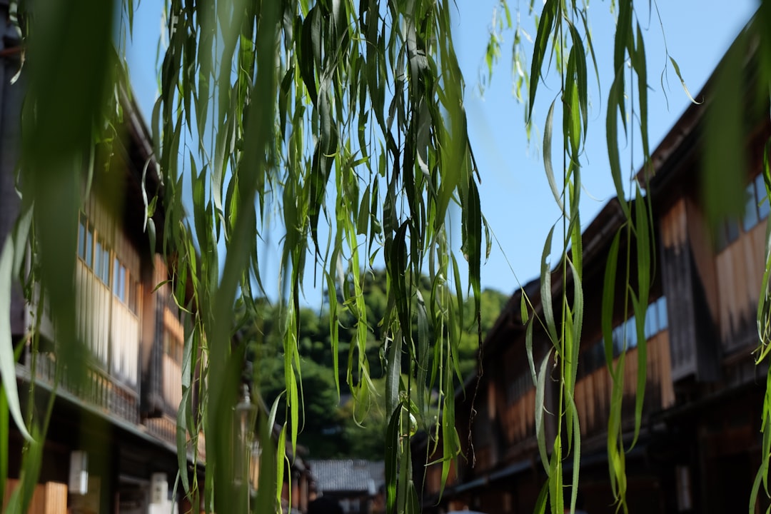 Kanazawa