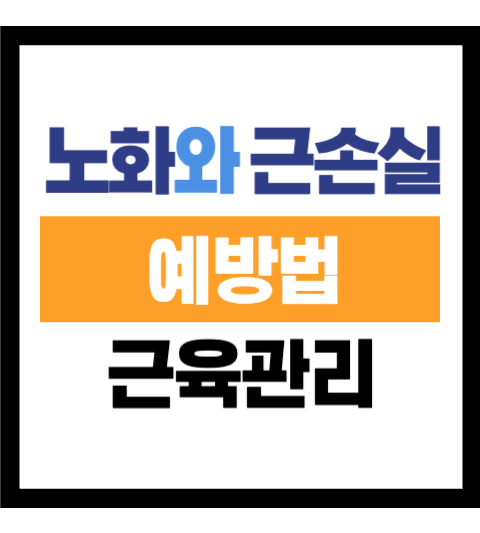 노화와 근손실 예방법