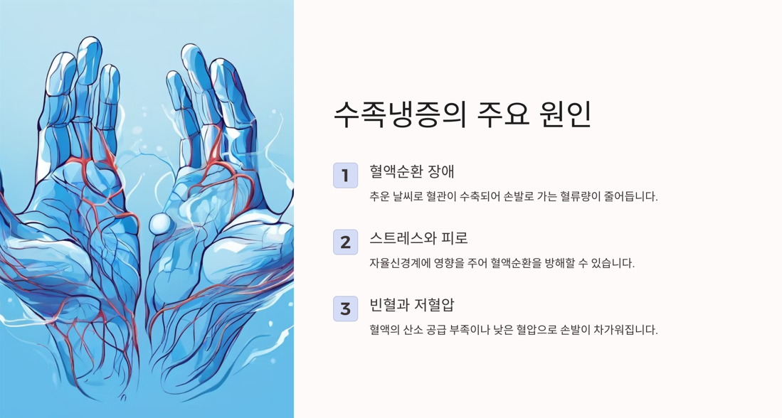 수족냉증의 주요 원인