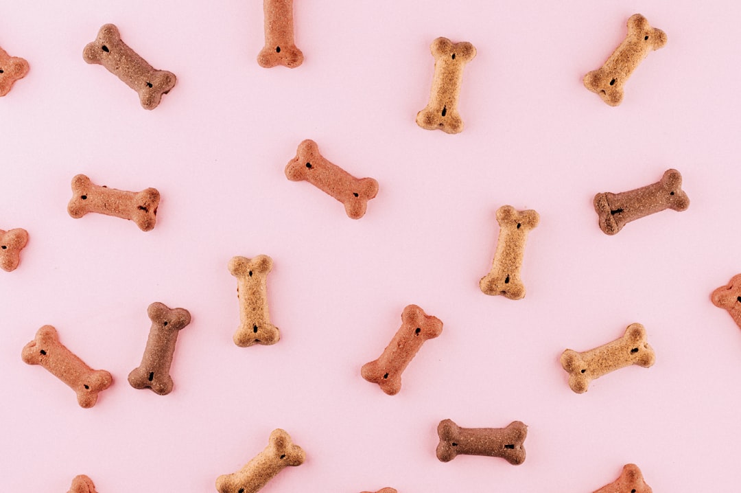 Dog snack