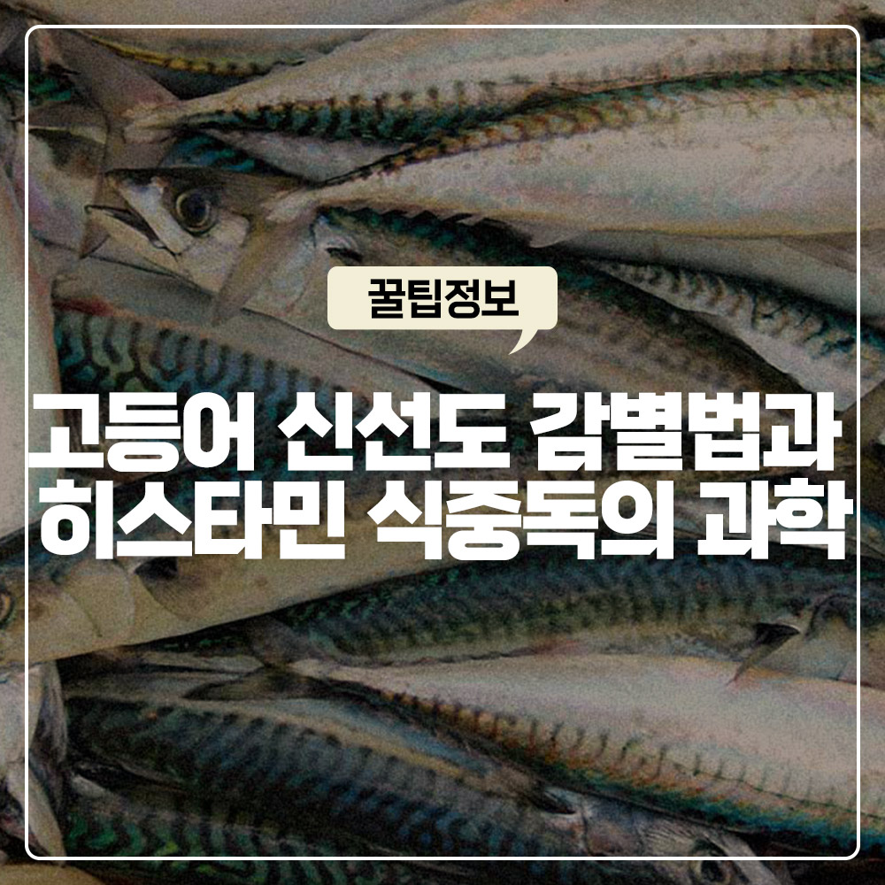 고등어 신선도 감별법 및 히스타민 식중독 원인 알레르기로 오해하는 이유