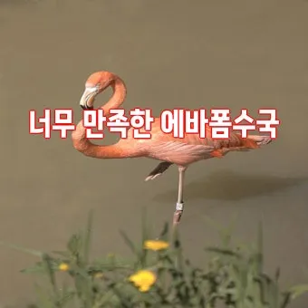 상토 선택 화분심기 초보기준 비료섞는법 안전 가이드_16