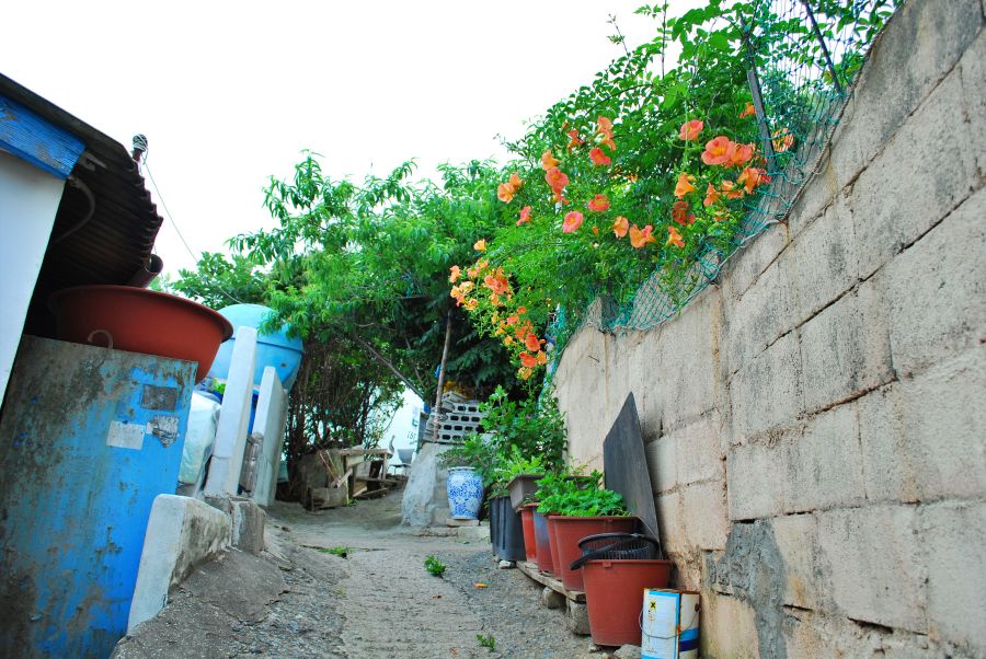 문현동 안동네 벽화마을