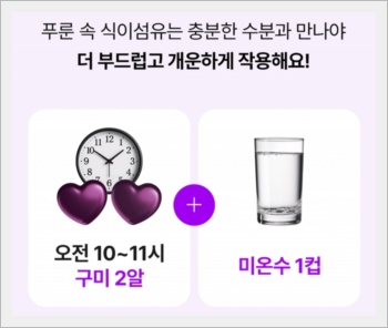 소휘 푸룬구미 캐시워크 돈버는 퀴즈 정답