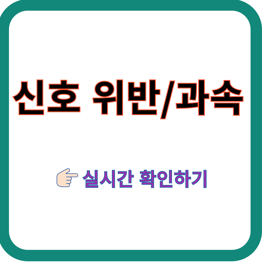 신호위반-실시간-확인