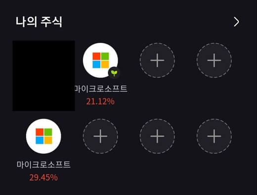 마이크로소프트-소수점