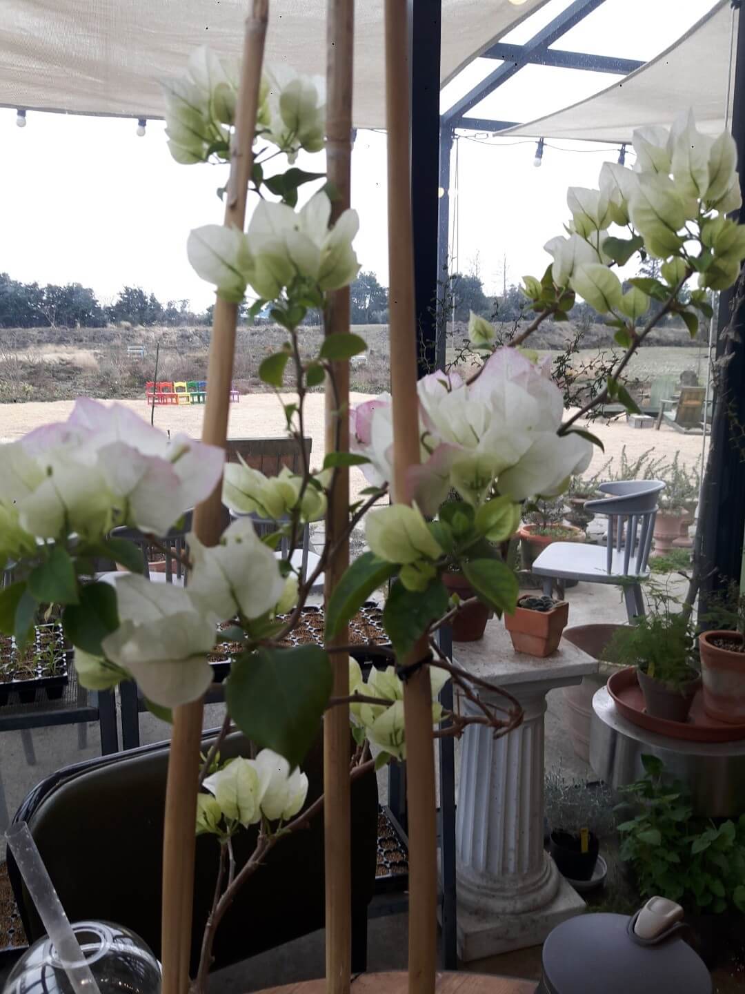 부자들이 실천하는 상속세 절세 비법