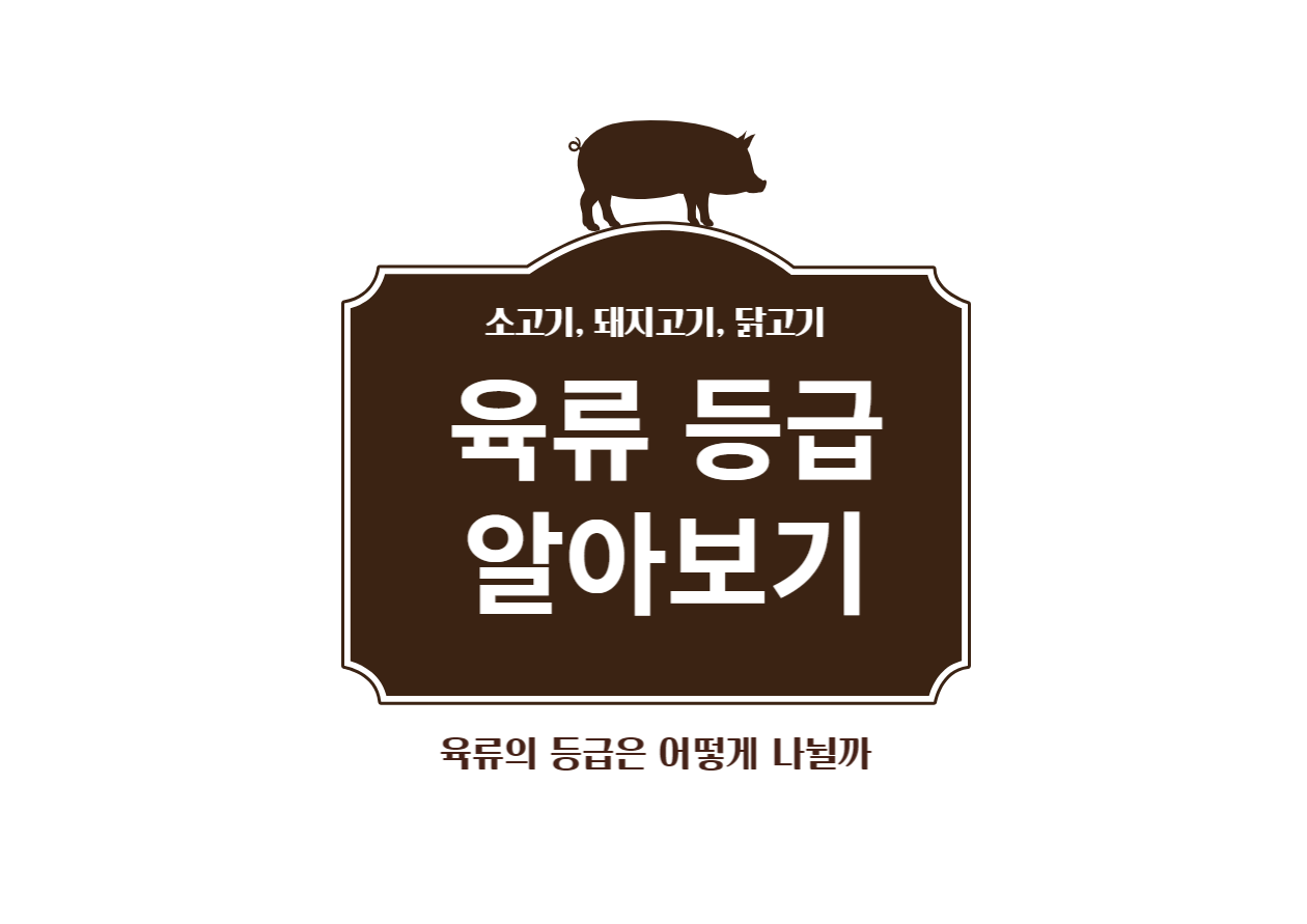 소고기, 돼지고기, 닭고기 등급 알아보기