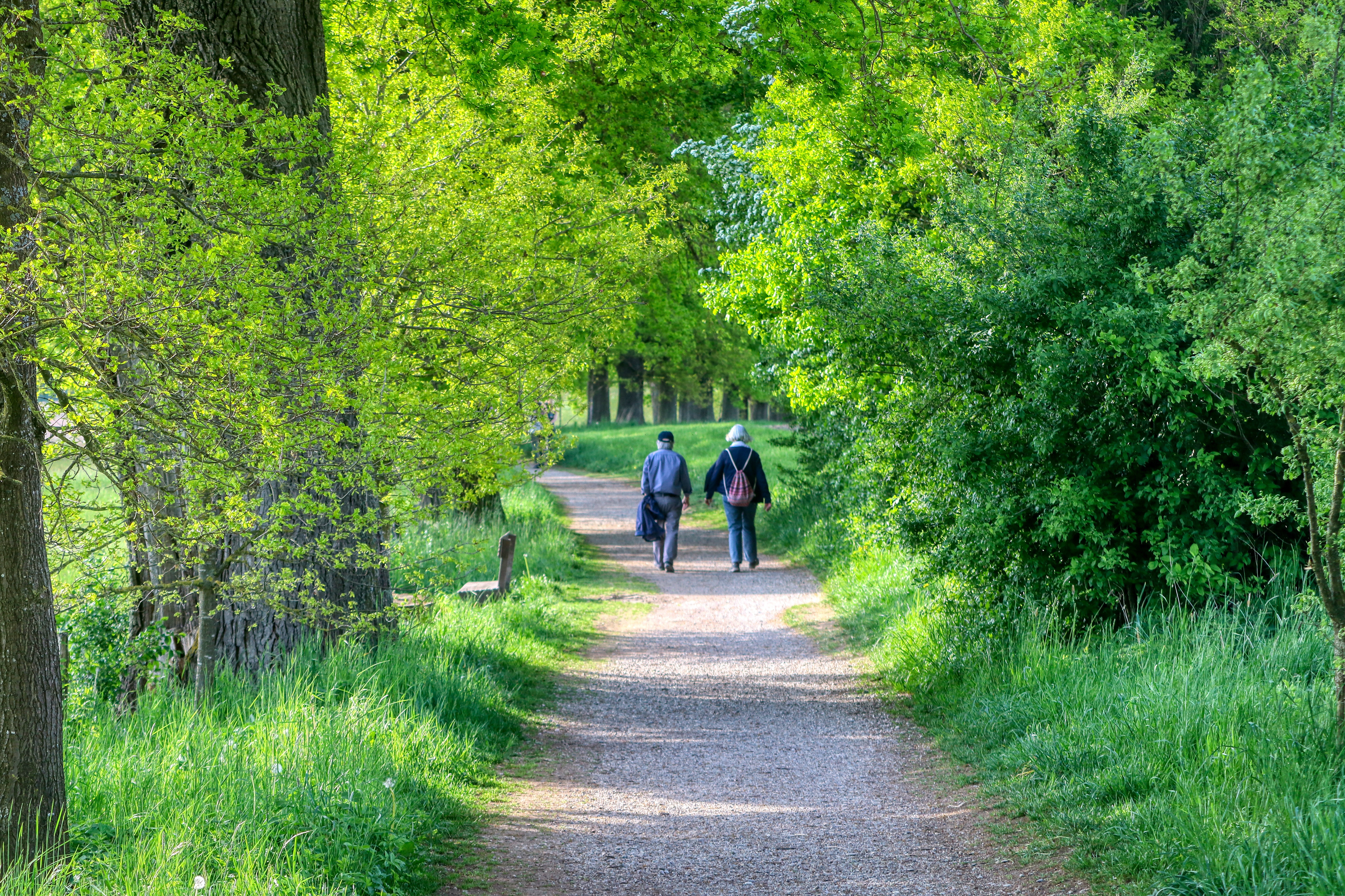 노인일자리 신청자격 및 신청방법