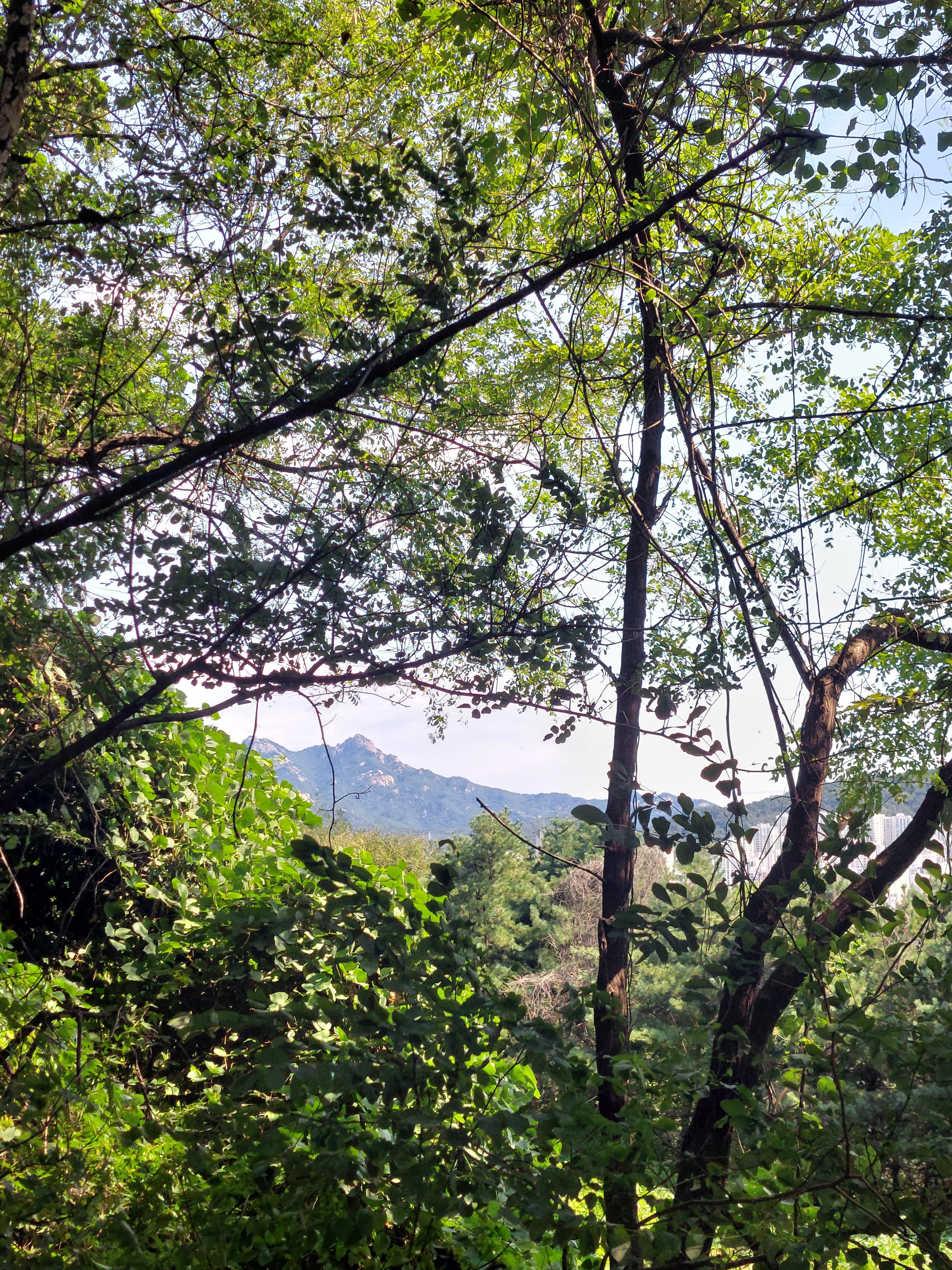 봉산앵봉산