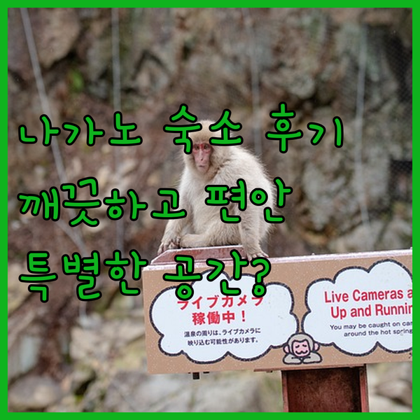 나가노 젠야 숙박 후기.. 깨끗하고