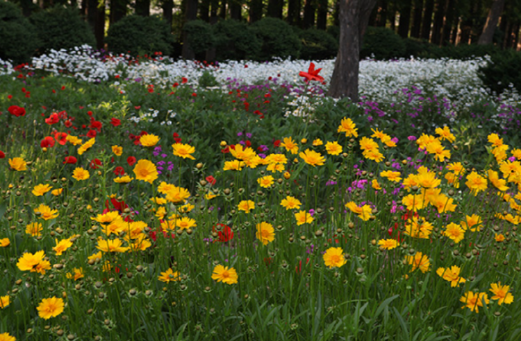 익산 아가페정원