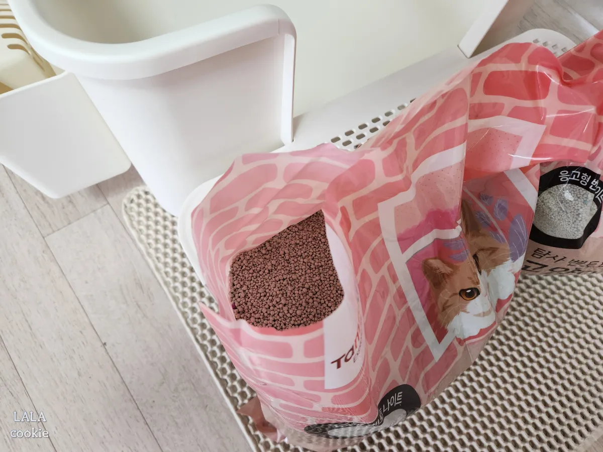 탐사-고양이-벤토나이트-모래-후기-포장-뜯은-모습