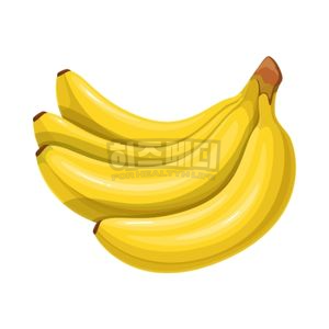 위내시경 전날 음식 금식시간