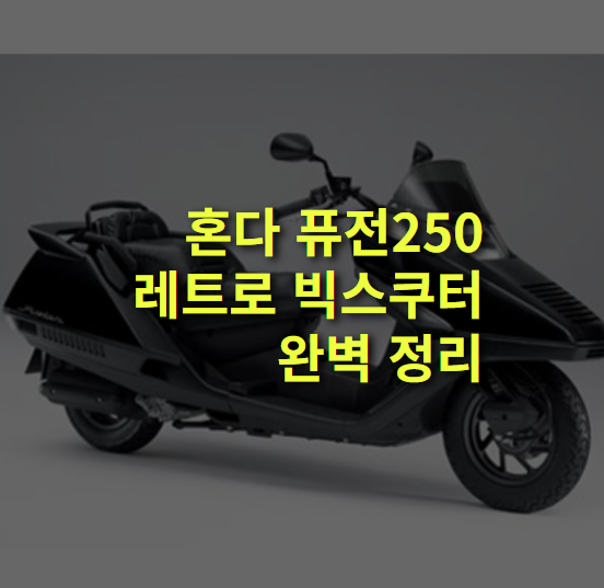혼다 퓨전250, 레트로 빅스쿠터 끝판왕, 완벽정리.