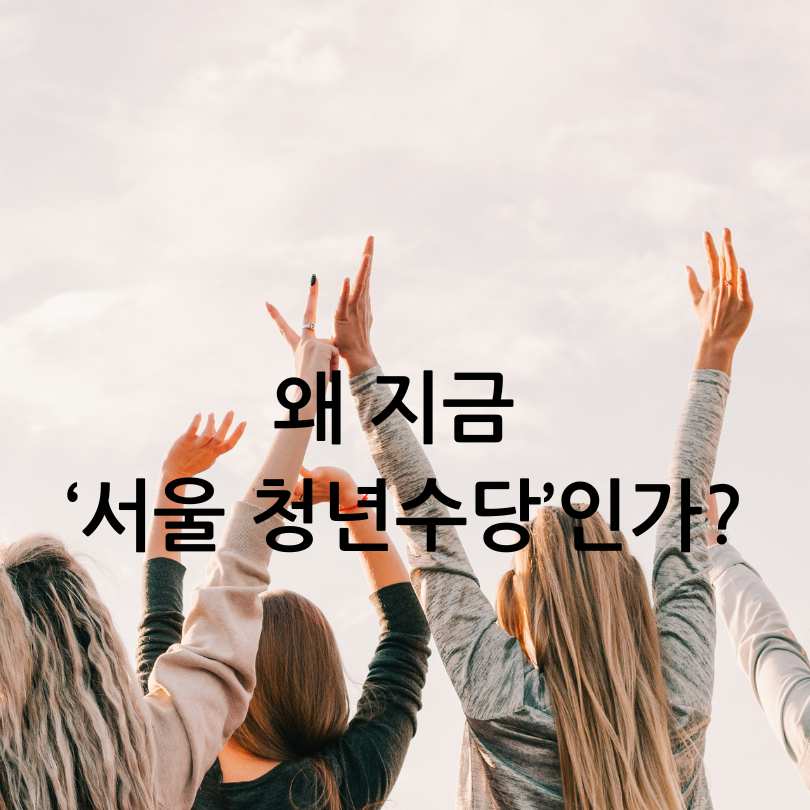 서울시 청년수당 2차 추가모집